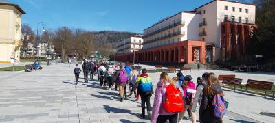 Zdjęcie WhatsApp 2024-03-20 o 13.20.51_98a1586c.jpg