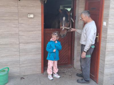 Zdjęcie WhatsApp 2025-05-13 o 17.31.59_00f813cd.jpg