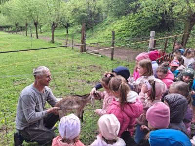 Zdjęcie WhatsApp 2025-05-13 o 17.33.17_8362661e.jpg