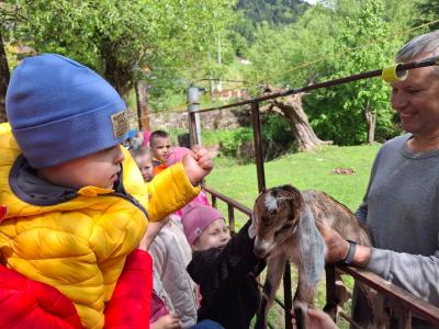 Zdjęcie WhatsApp 2025-05-13 o 17.33.22_cf34b5d7.jpg