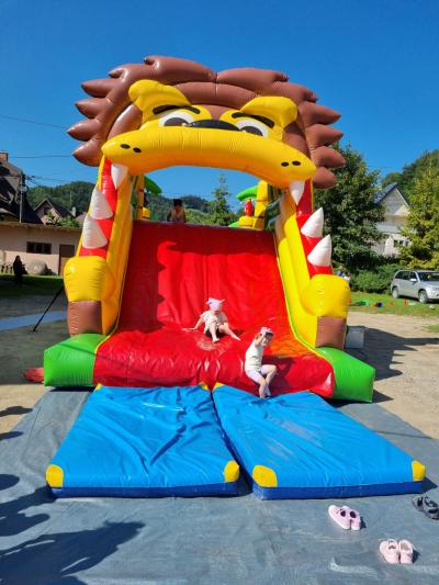 Zdjęcie WhatsApp 2025-06-18 o 11.52.11_0b64a7c8.jpg