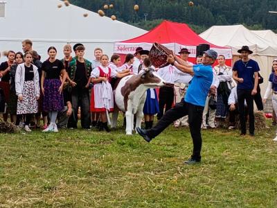 uploaded-image-68bc61a5cdfba232503948 (1).png