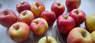 Zdjęcie WhatsApp 2025-09-29 o 18.12.19_dda75ab8.jpg