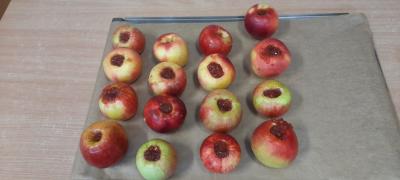 Zdjęcie WhatsApp 2025-09-29 o 18.12.23_63c27e86.jpg