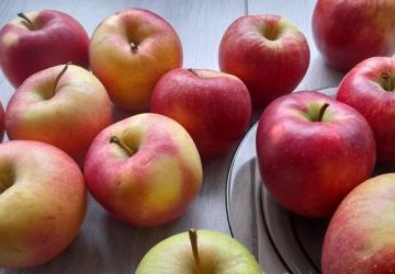 Międzynarodowy Dzień Jabłka