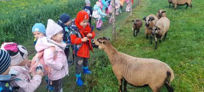 Zdjęcie WhatsApp 2025-10-02 o 15.20.33_c4df4344.jpg