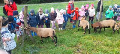 Zdjęcie WhatsApp 2025-10-02 o 15.20.34_229b43e5.jpg