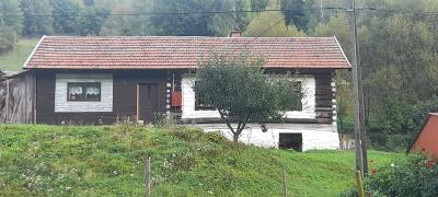 Zdjęcie WhatsApp 2025-10-02 o 15.20.35_8c74d882.jpg