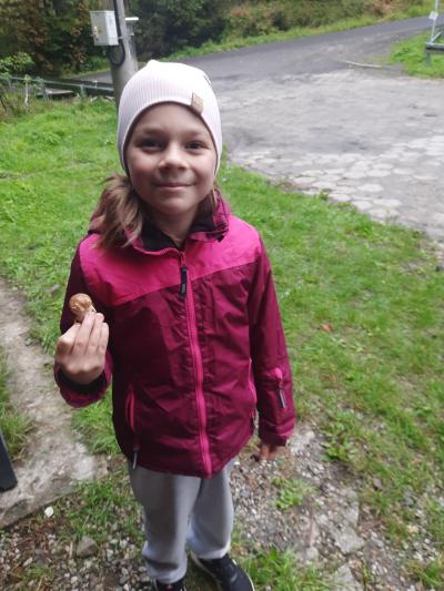 Zdjęcie WhatsApp 2025-10-13 o 19.43.46_60bc26a1.jpg