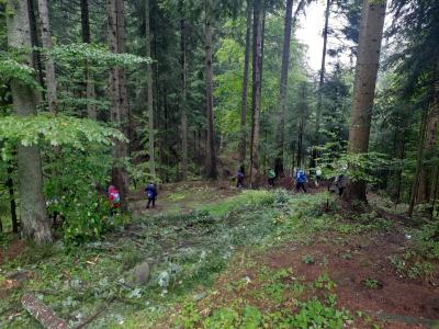 Zdjęcie WhatsApp 2025-10-13 o 19.43.47_357d0034.jpg