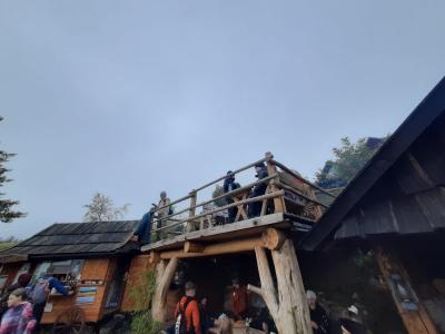 Zdjęcie WhatsApp 2025-10-13 o 19.44.00_7cbf1bab.jpg