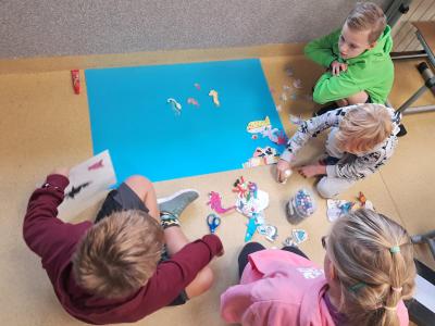 Zdjęcie WhatsApp 2025-10-14 o 11.21.11_f440792e.jpg