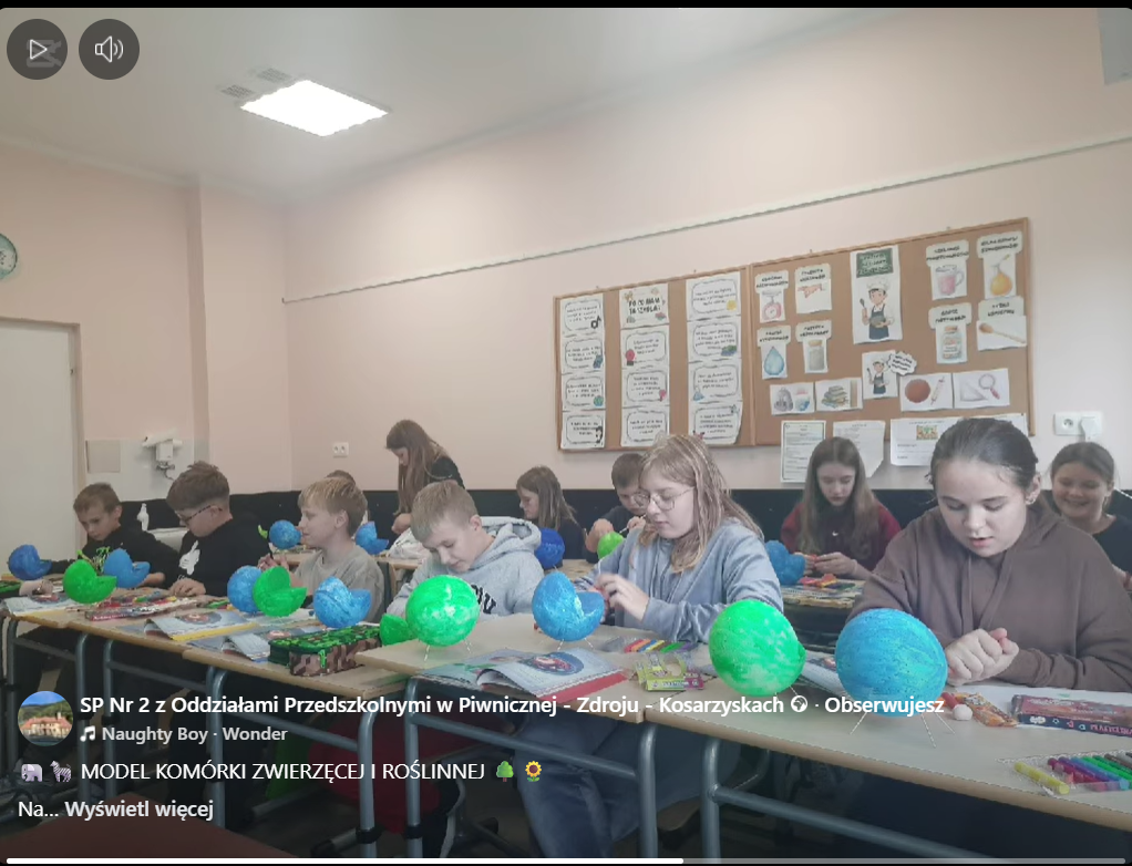 Model komórki - biologia