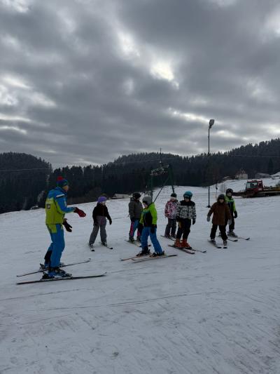 WhatsApp Image 2026-02-17 at 17.53.22.jpeg