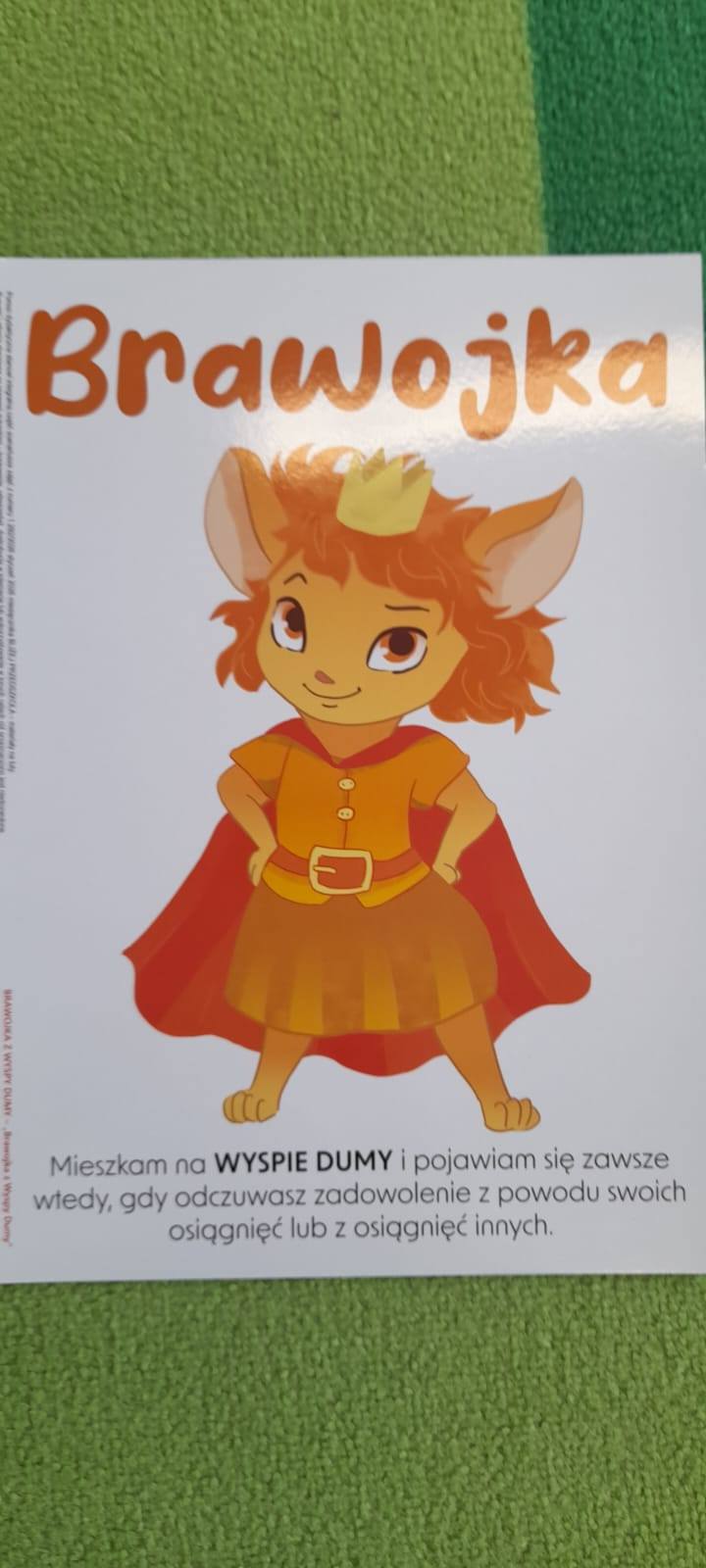 Brawojka w przedszkolu