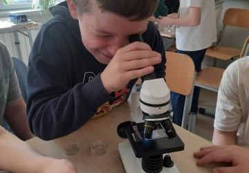 Obserwacje mikroskopowe