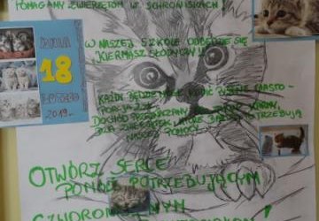 Pomagamy czworonożnym przyjaciołom