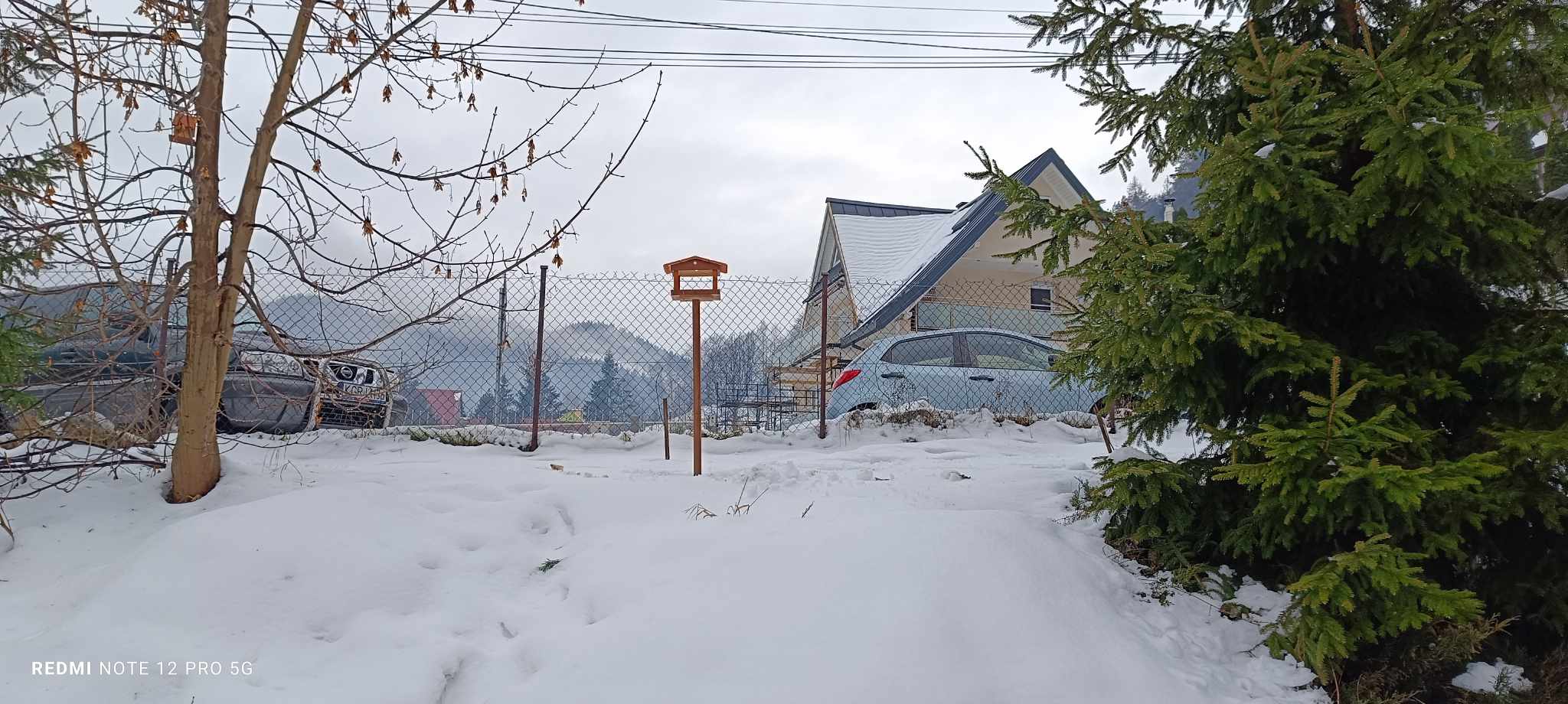 Karmniki dla ptaków